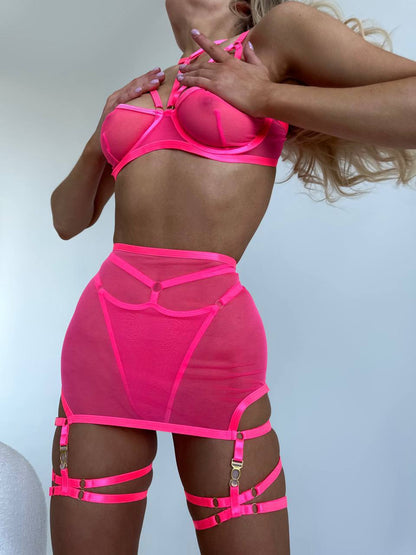 Elegance pink set: Bustier and Panty Set with Skirt and Garters